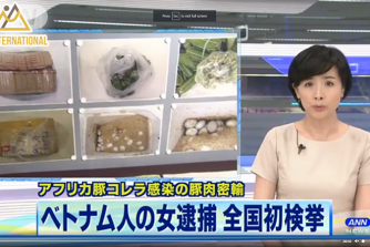 Du học sinh Việt bị bắt vì mang 350 nem chua và 360 quả trứng vịt lộn vào Nhật Bản